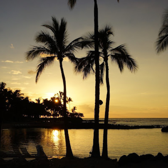 Meet your Posher, Sandy - Picture 1 of 1